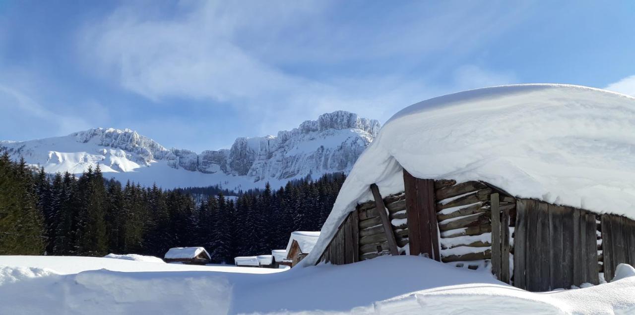 Haus Lerchenreith Bad Aussee Exterior foto